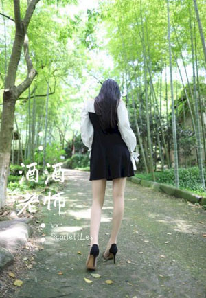少儿版西游记52集_DVD全集在线观看