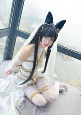 重案六组第五部_720免费在线播放
